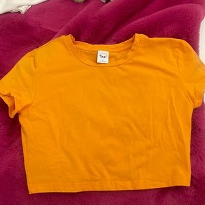 Aritzia croptop